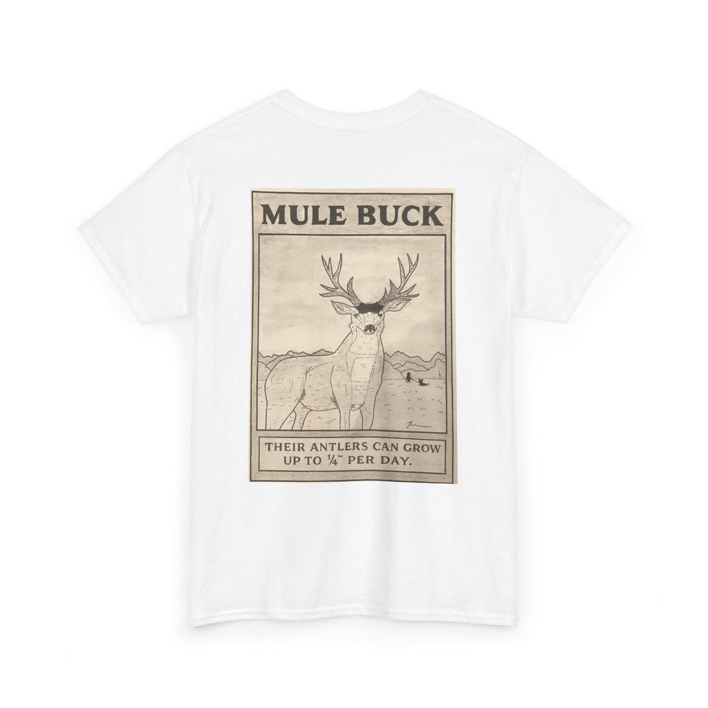 Mule Buck