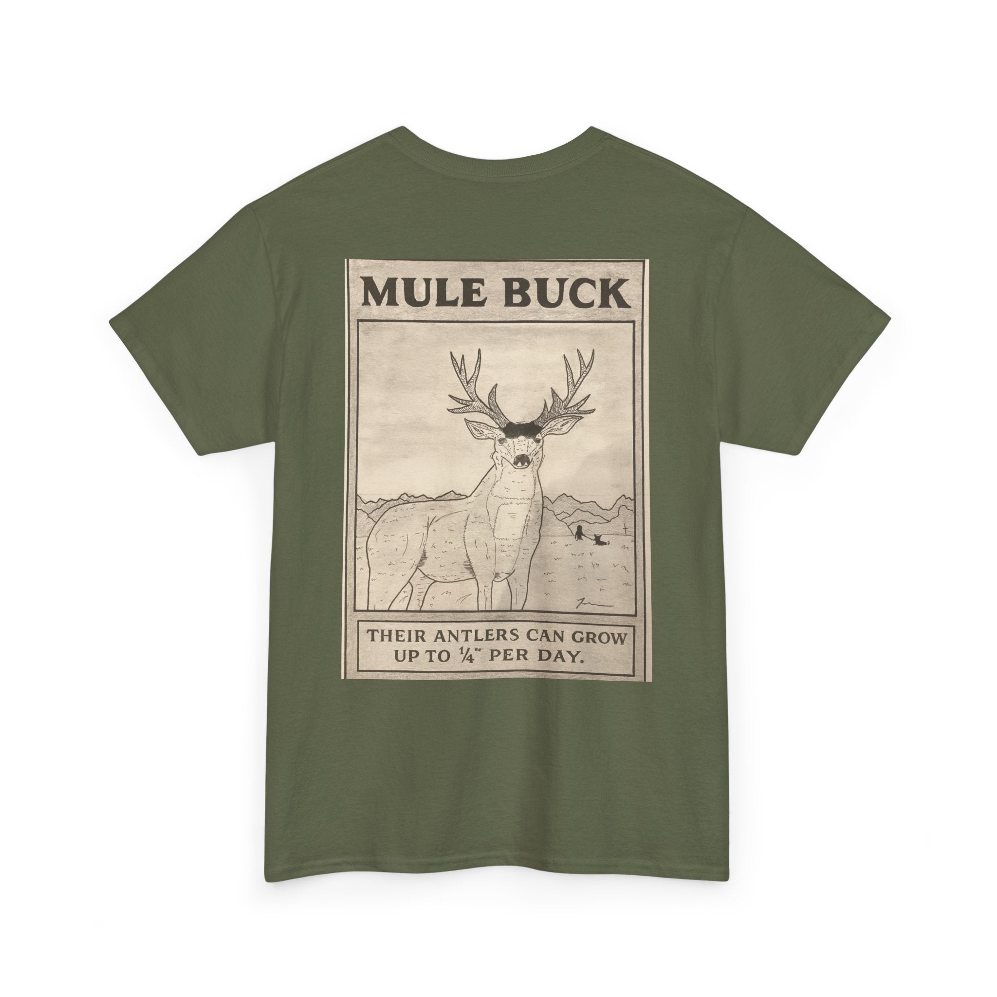 Mule Buck